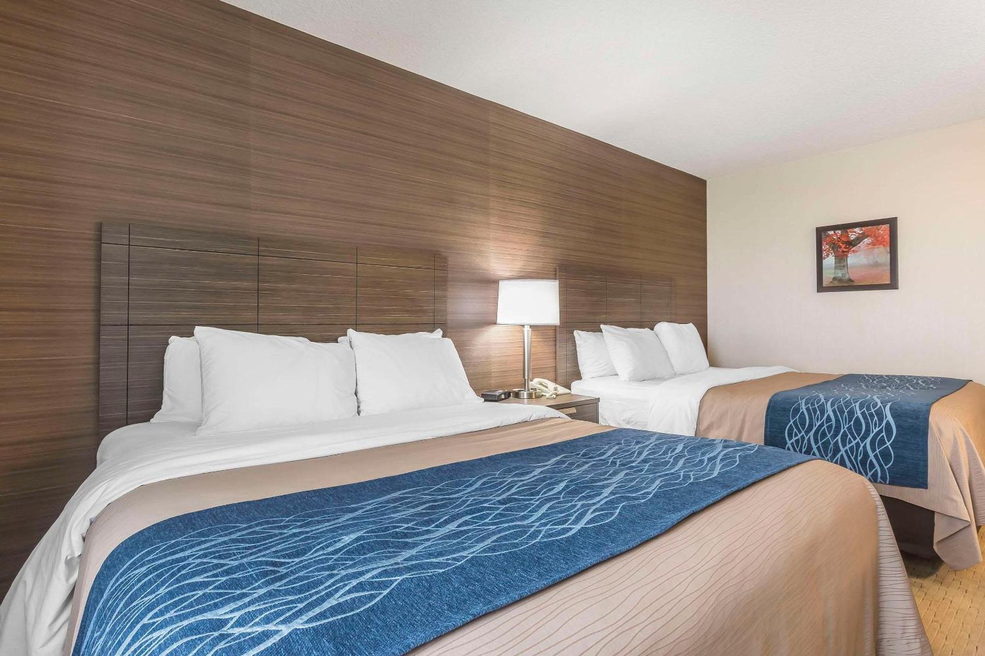 Comfort Inn Levis Bagian luar foto