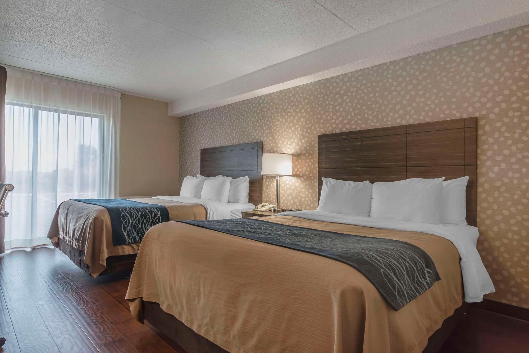 Comfort Inn Levis Bagian luar foto