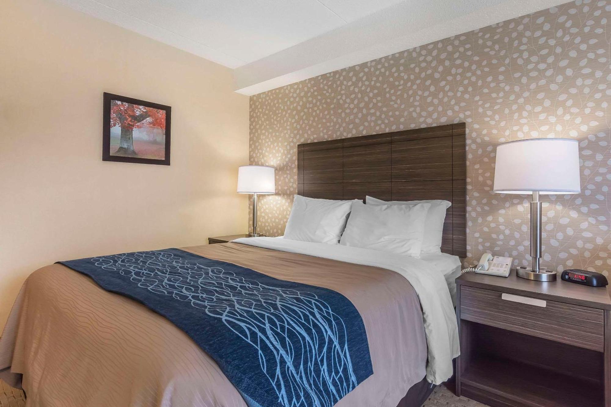 Comfort Inn Levis Bagian luar foto