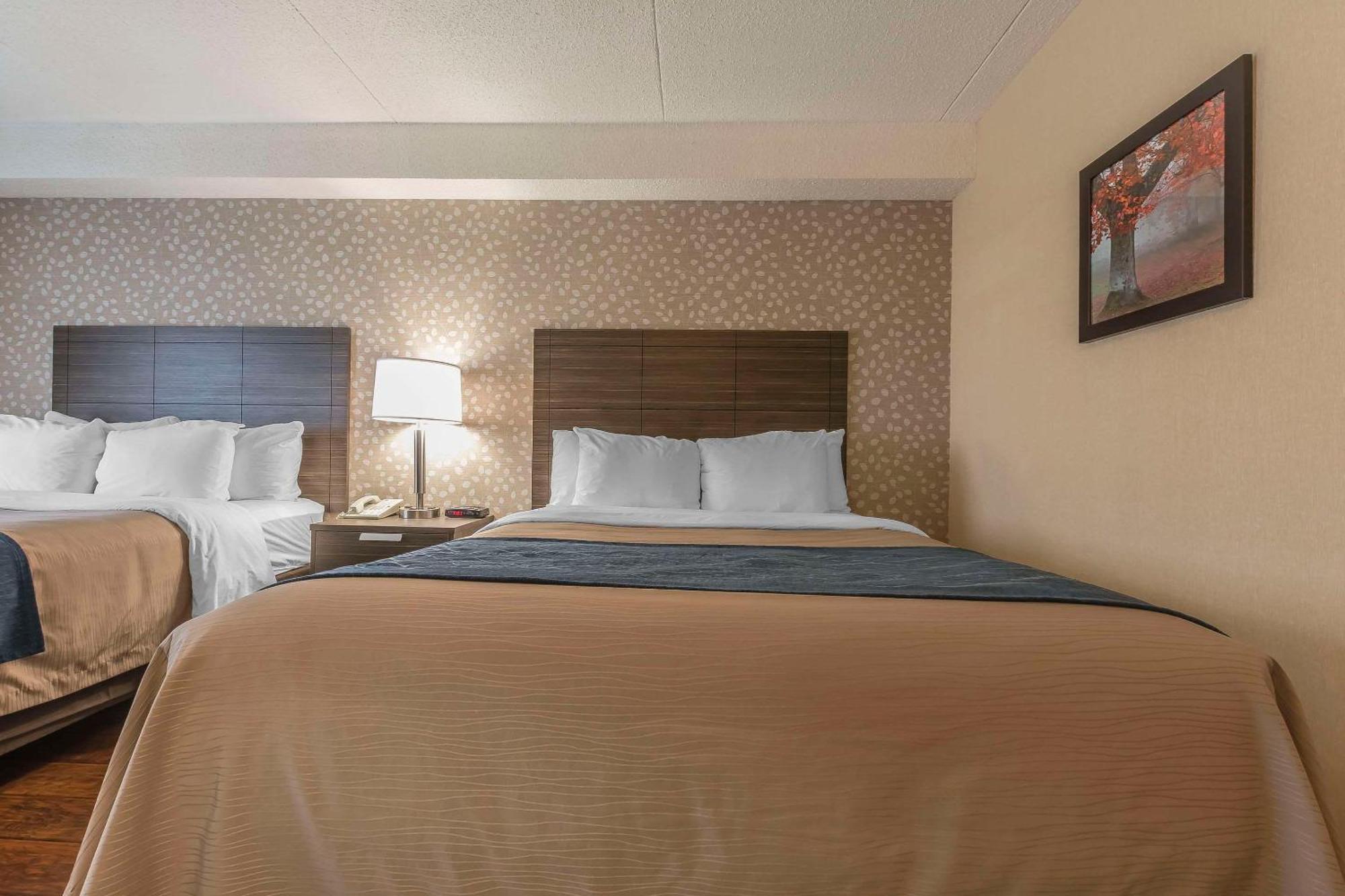 Comfort Inn Levis Bagian luar foto