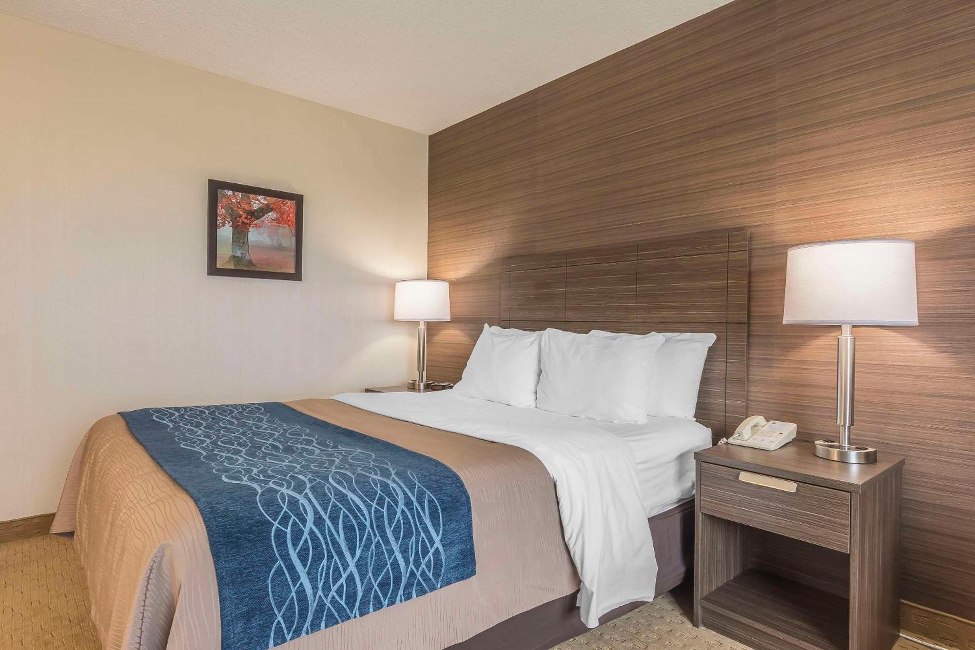 Comfort Inn Levis Bagian luar foto