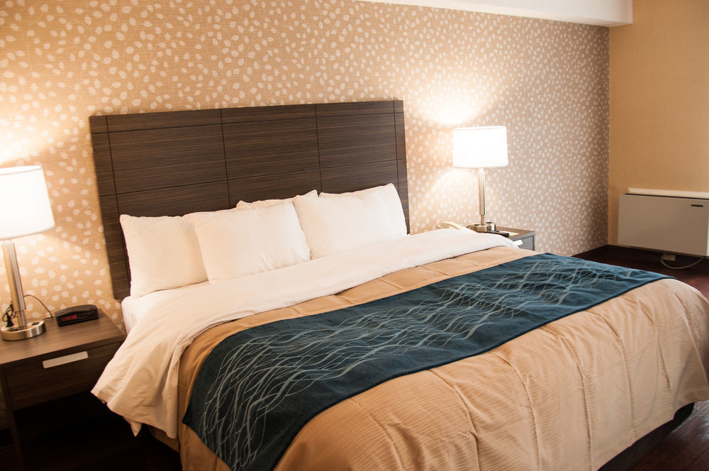 Comfort Inn Levis Bagian luar foto