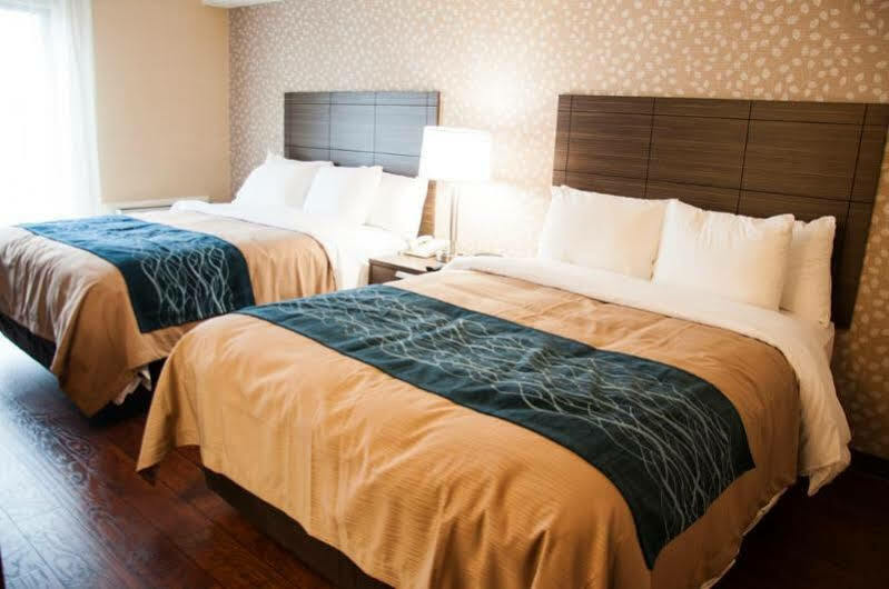 Comfort Inn Levis Bagian luar foto
