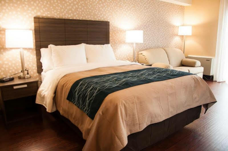 Comfort Inn Levis Bagian luar foto