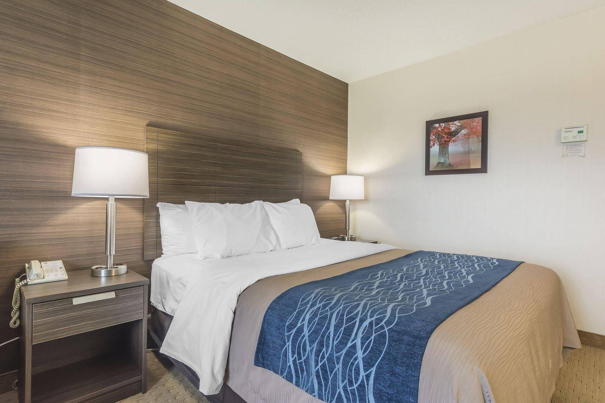 Comfort Inn Levis Bagian luar foto